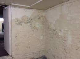 penetrating damp