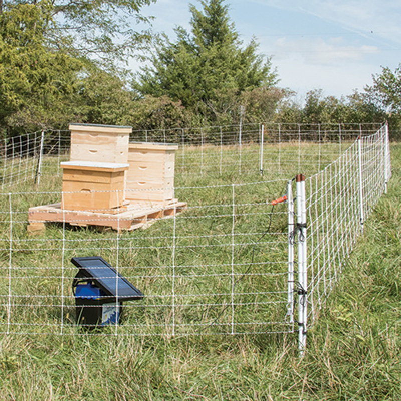 a field been squared with an electric fence