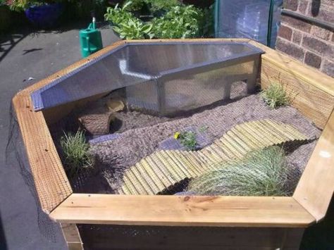 a tortoise house with stairs and grasses in the surrounding