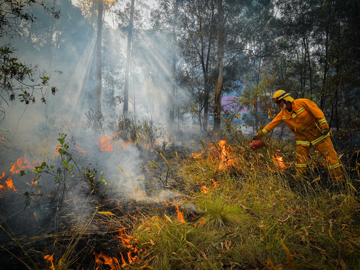 silver and gold color metallic fibers